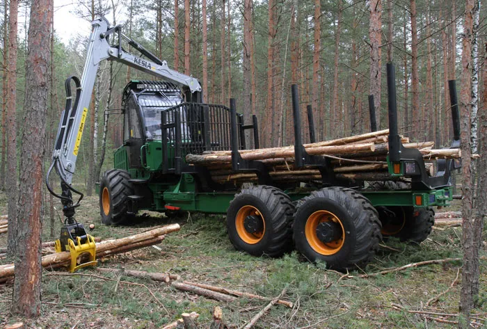 Скандинавские методы ведения лесного хозяйства успешно применяют и в белорусских лесах. фото